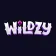 wildzy-france.com